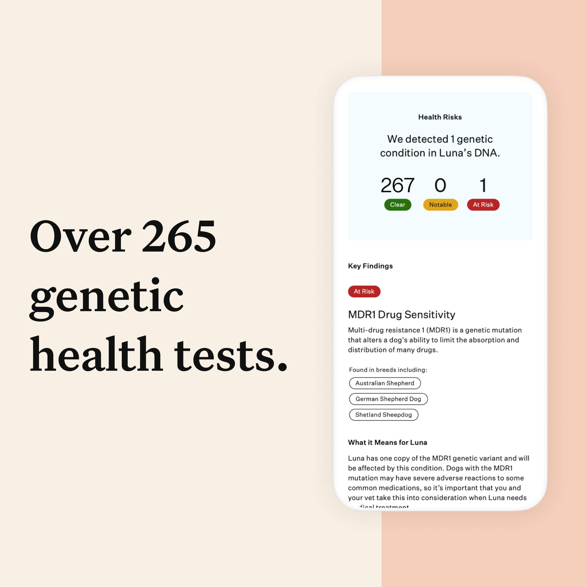 Screenshot of Wisdom Panel report | Over 265 genetic health tests.