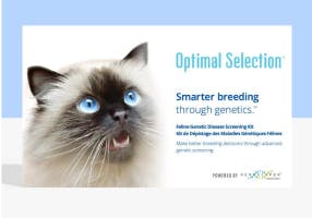 Optimal Selection Cat