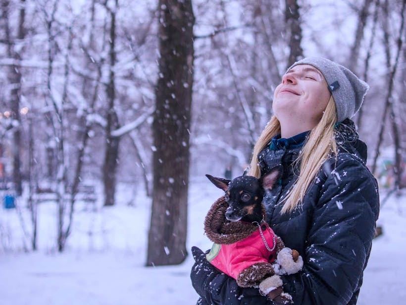 Pet owner holding a dog in the snow