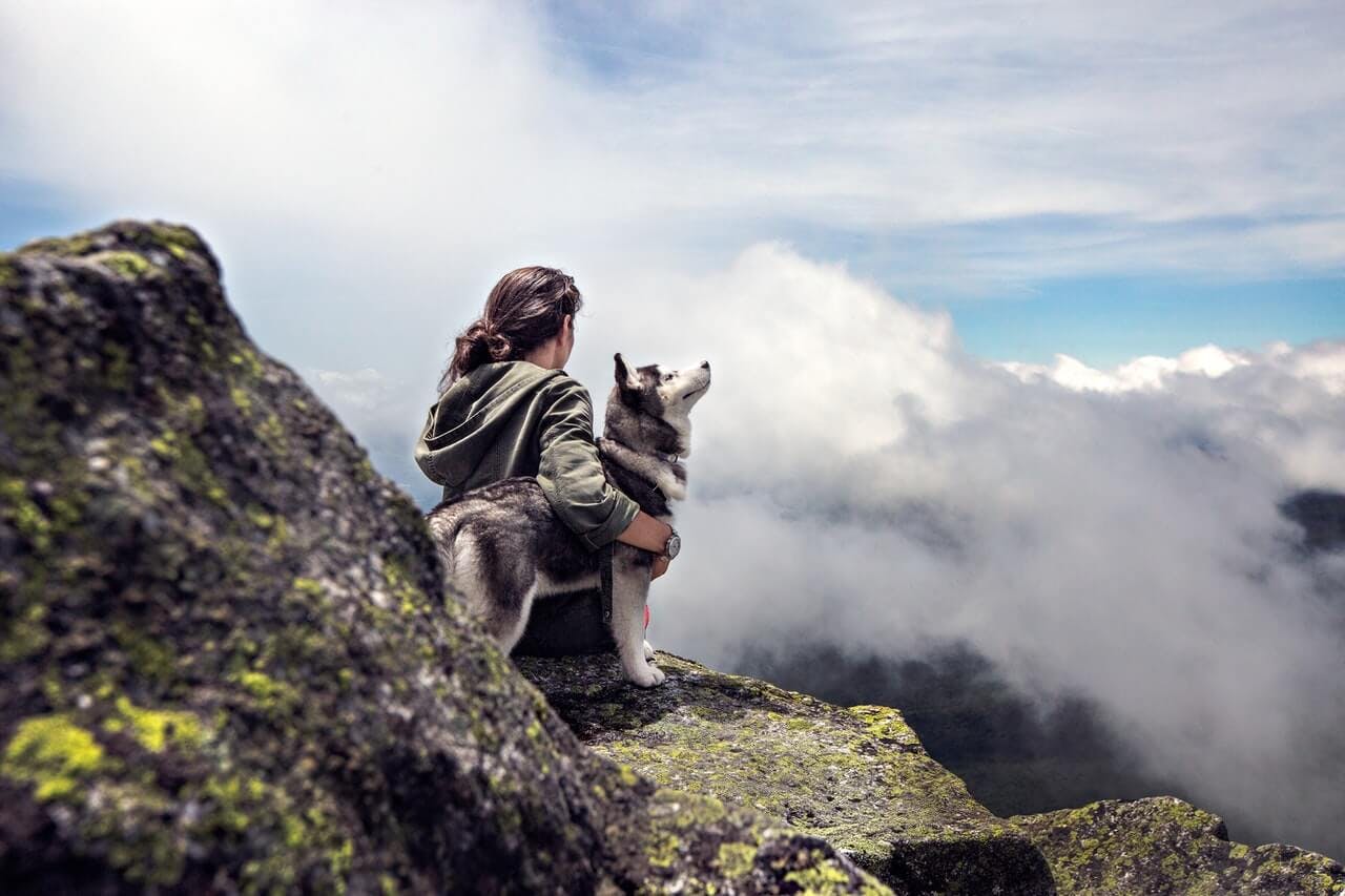 Woman sitting on a mountain top with her Husky pup