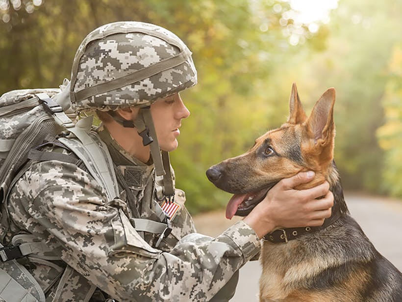 A soldier with his dog