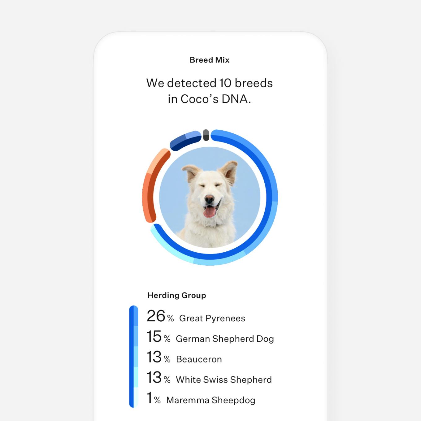 Dog DNA test breed breakdown