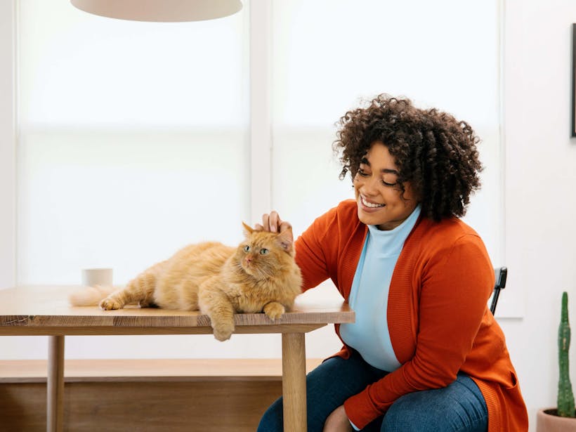 Woman sitting at a table and petting her orange cat