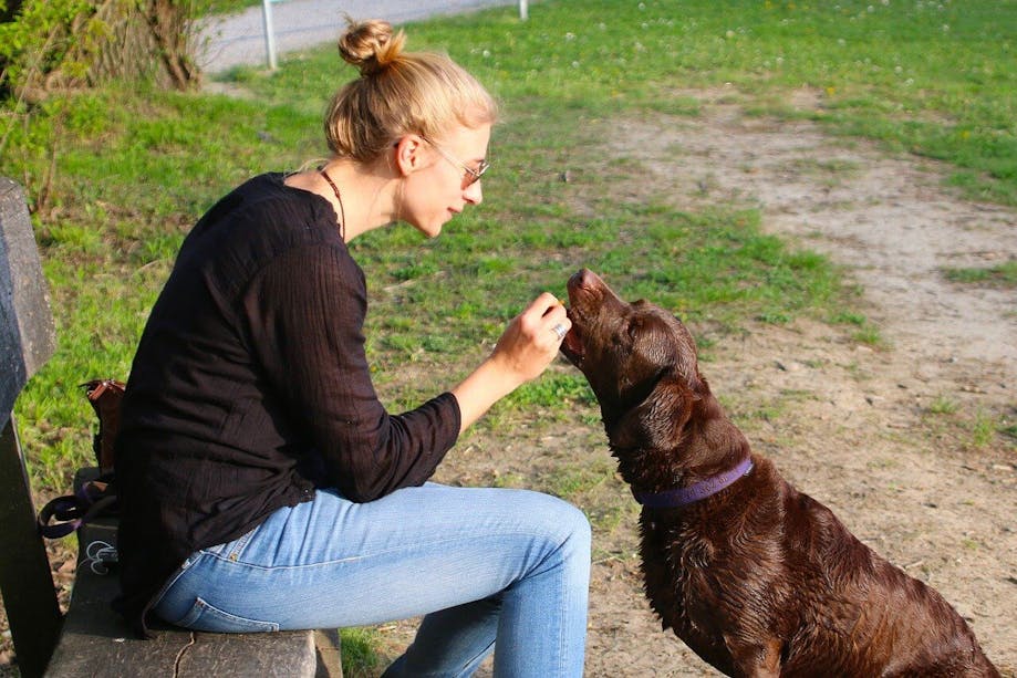 Woman feeding a dog a treat
