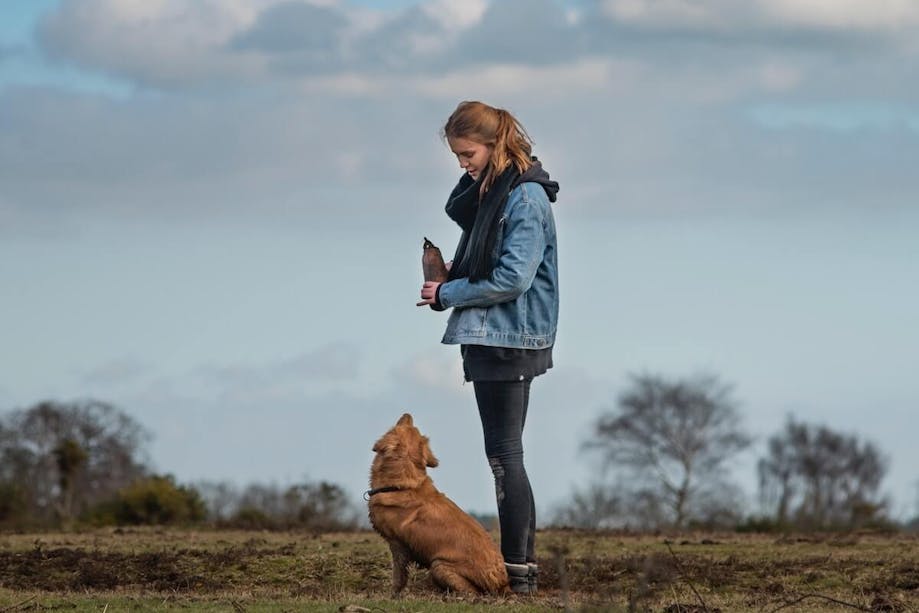 Woman about to throw toy for her dog to fetch