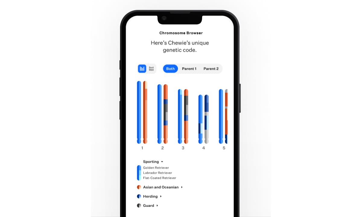 Screenshot of Wisdom Panel Chromosome Browser.