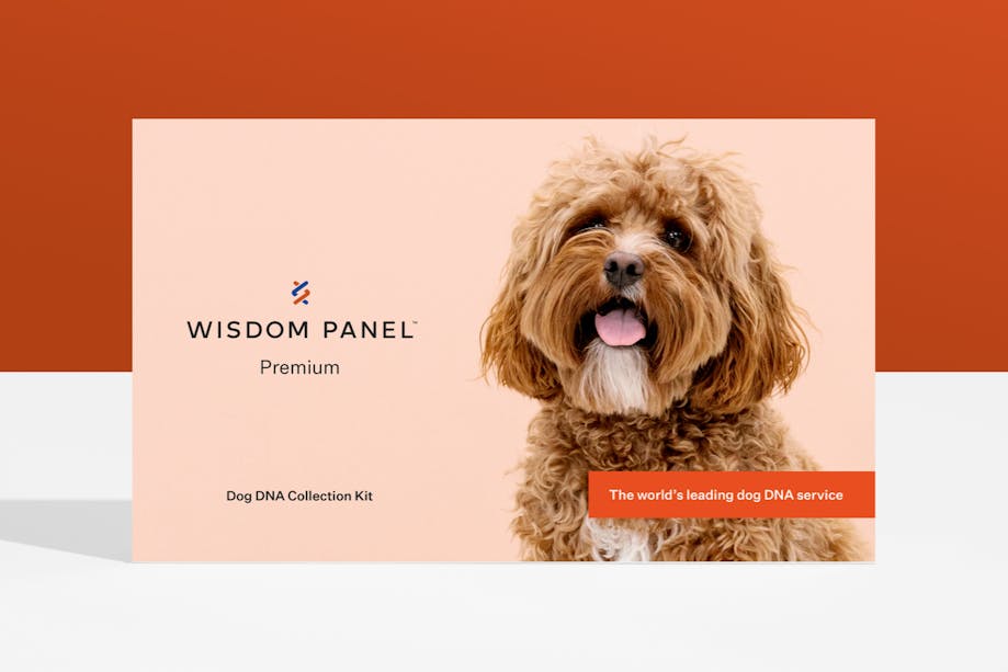 Wisdom Panel™ Premium dog DNA test