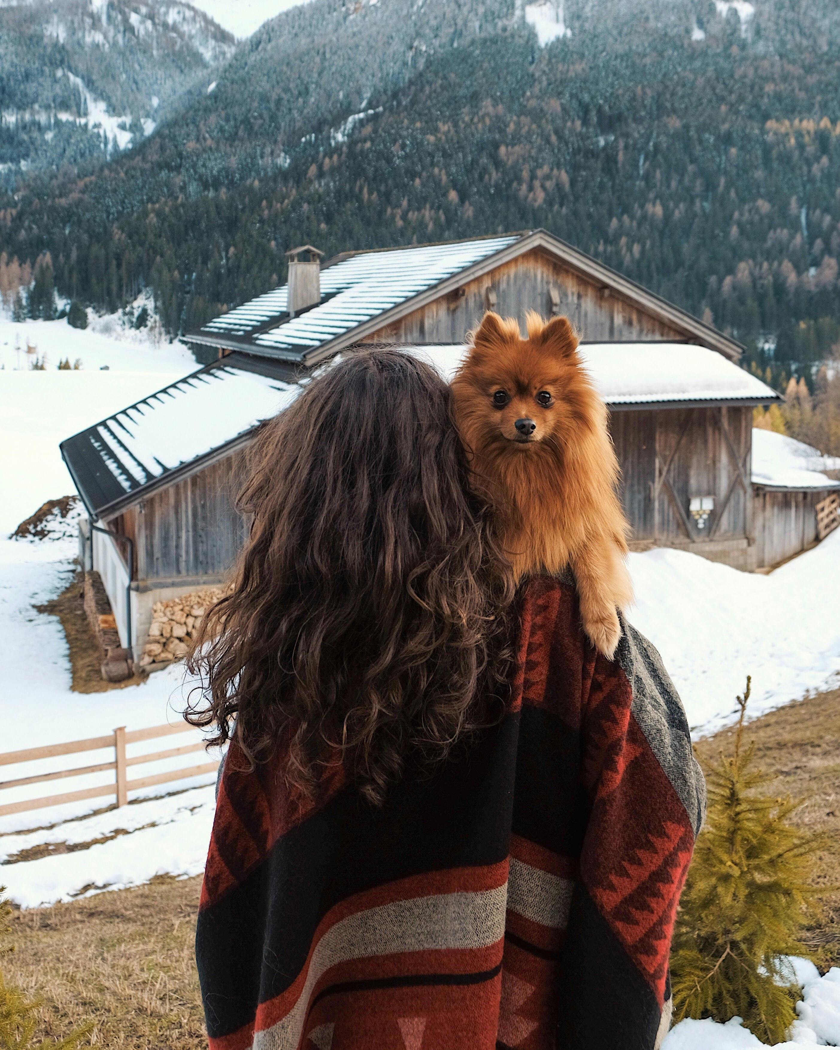 Small dog looking over woman's should with a snowy barn in the background
