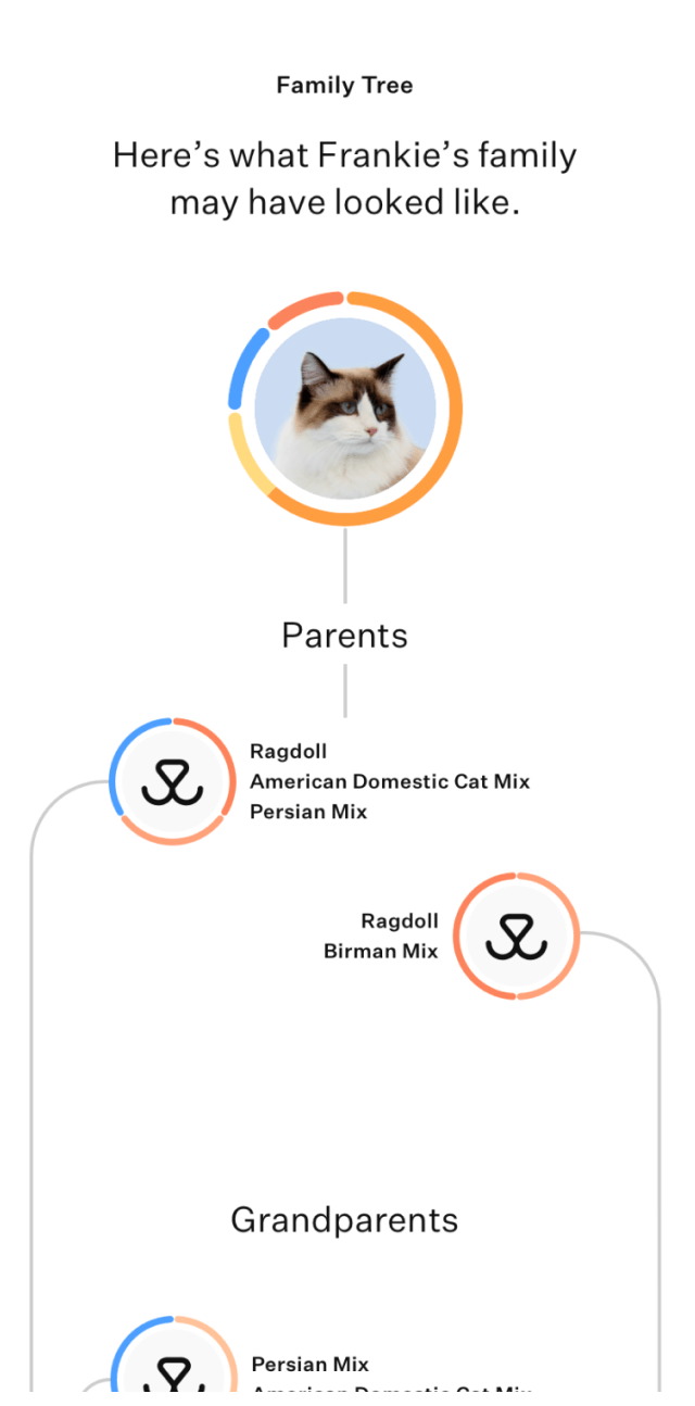 appmock-nobezel-cat-familytree-frankie@2x.png