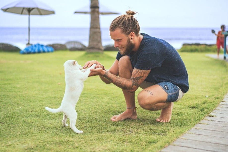 Man practicing puppy socialization with new dog outside