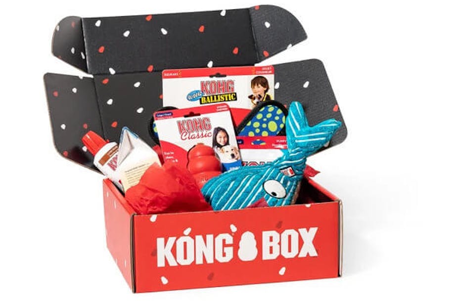 KONG Box subscription for dog toys
