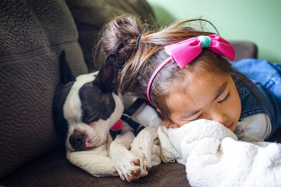 Little girl sleeping on the couch with her dog