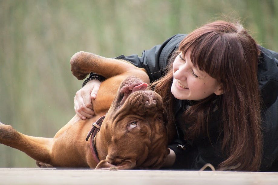 Dog playing with their favorite person