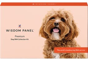 Wisdom Panel Premium dog DNA test Most accurate breed detection