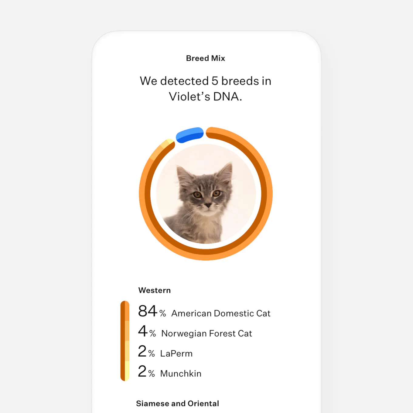 Picture of Shop cat DNA tests | Wisdom Panel™ Complete for Cats