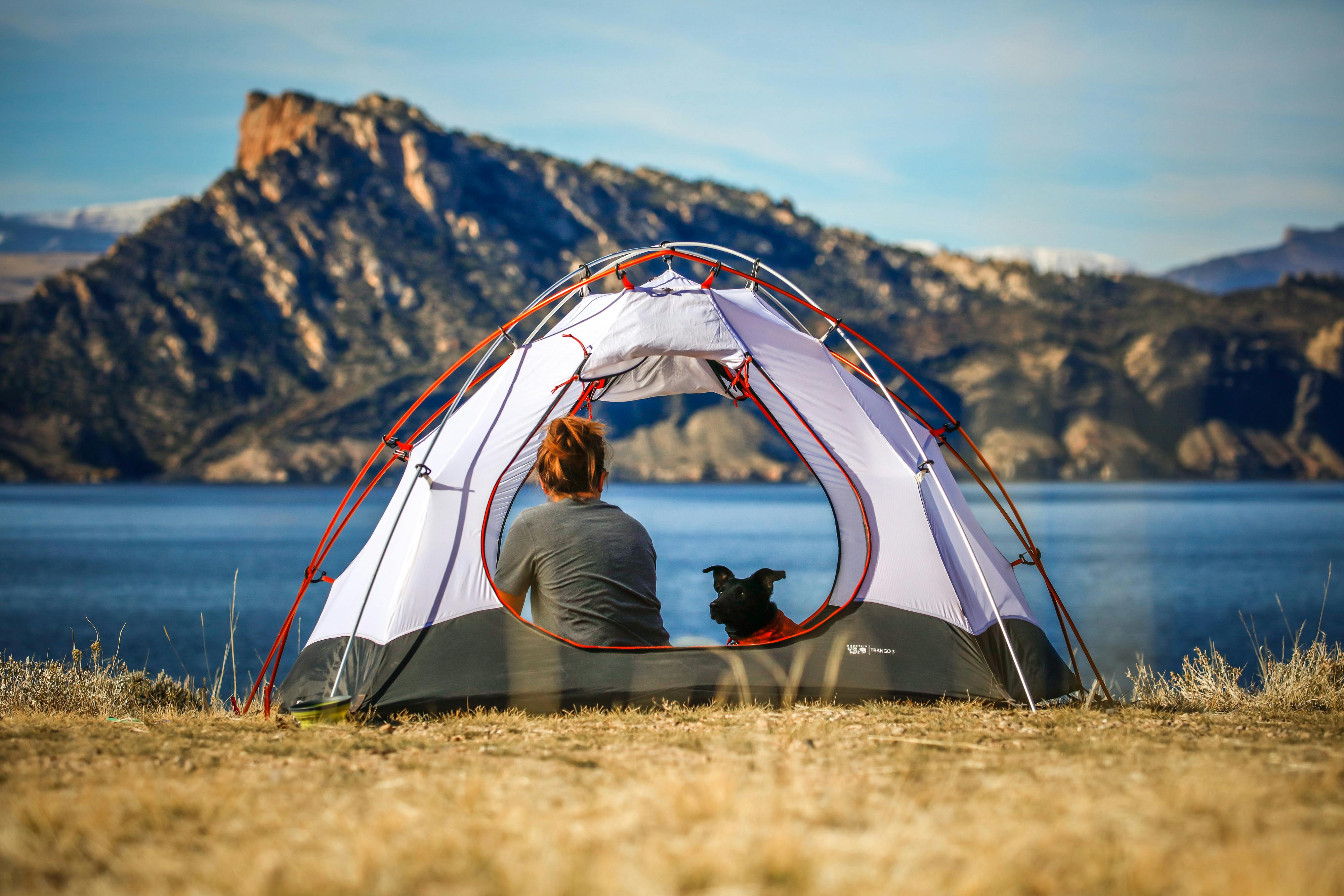 Person sitting in a tent with a black dog in front of a lake and mountain