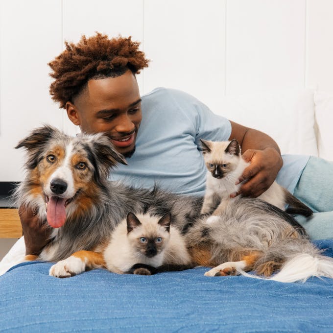 Man looking at pets with smile