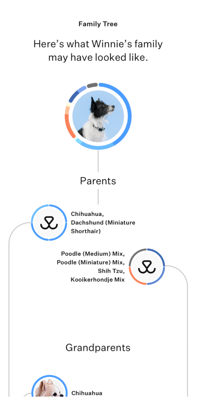wisdom panel genetic testing