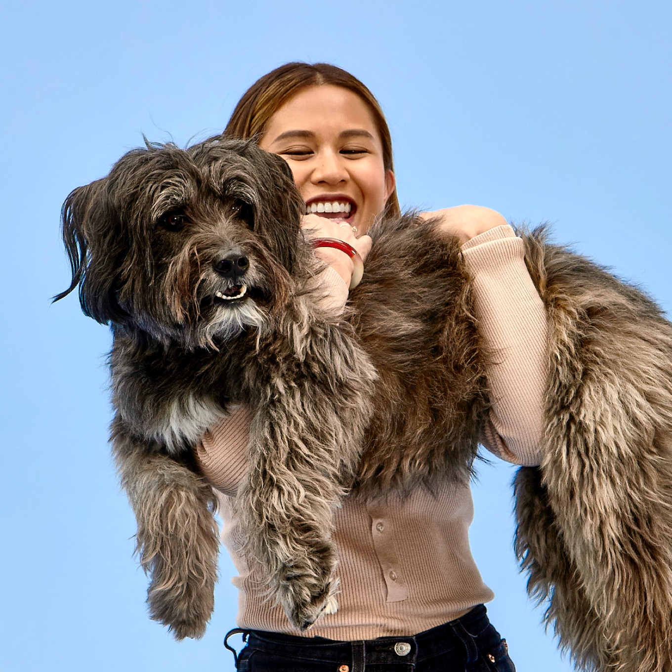 wisdom panel insights