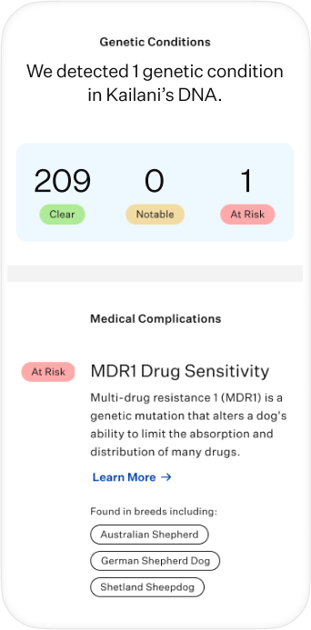 App Mock – Health – Premium.png