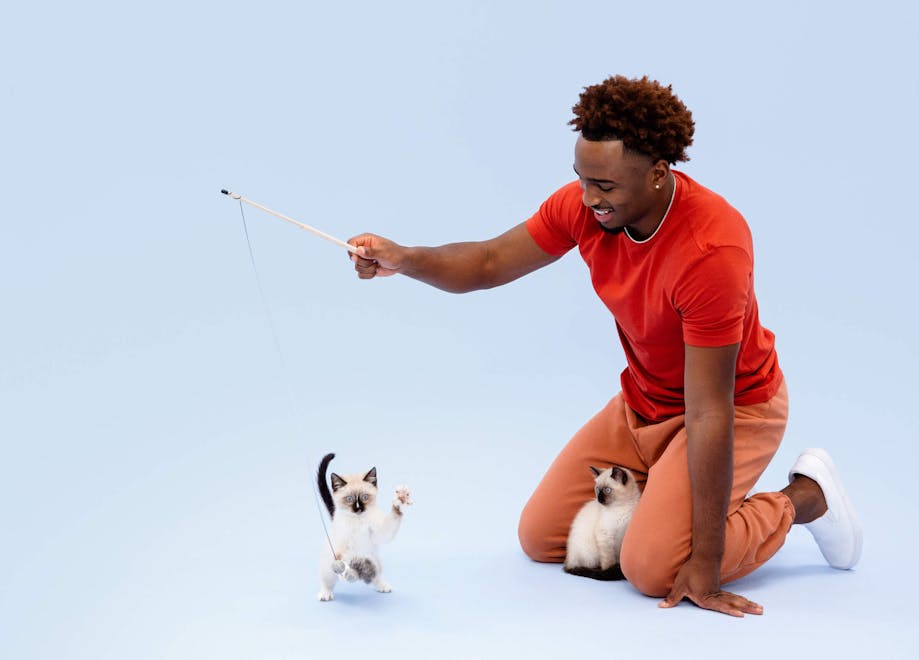 Man playing with his kittens