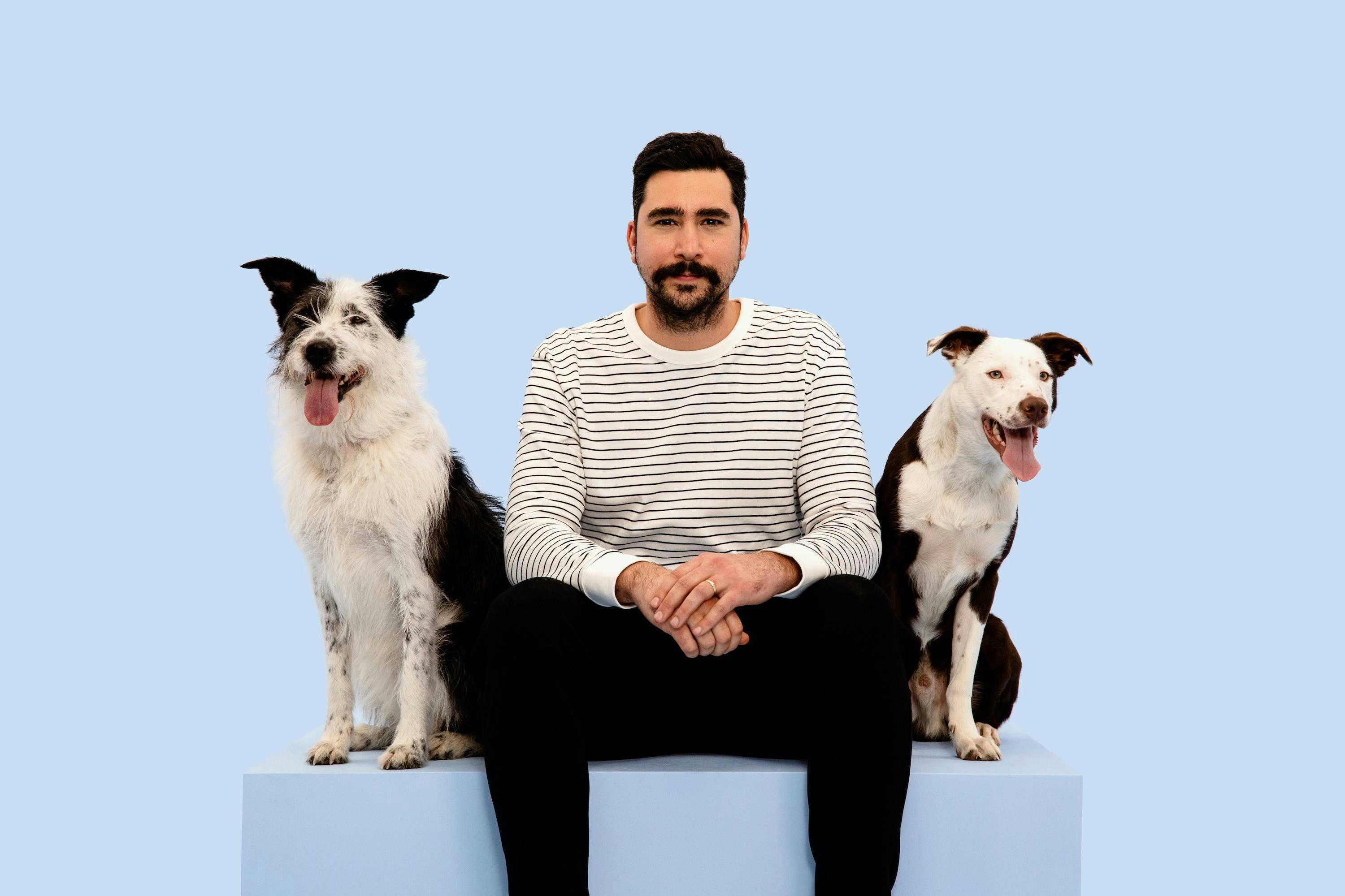 Man sitting between two dogs that might be relatives