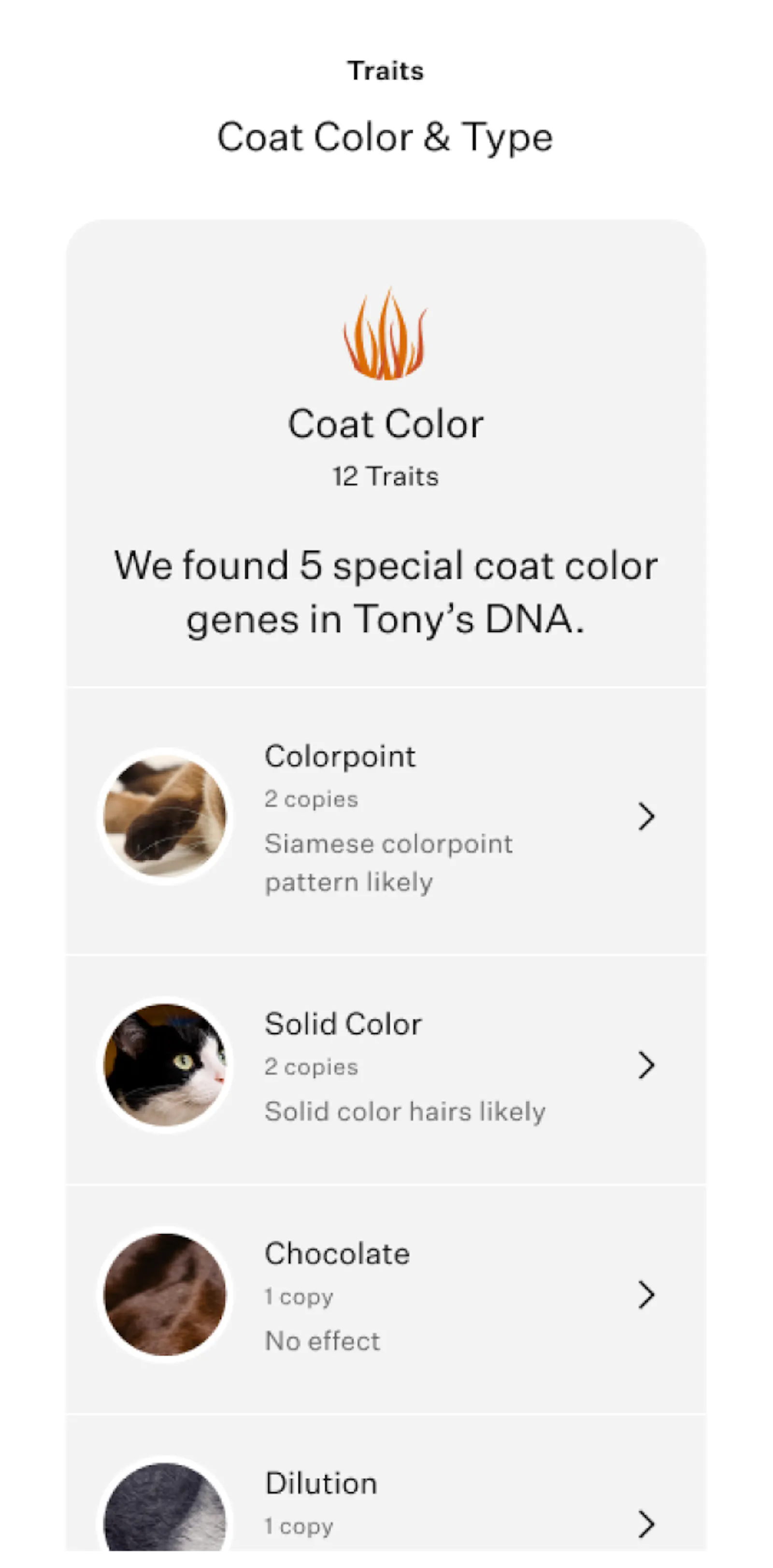 Shop cat DNA tests | Wisdom Panel™ Complete for Cats