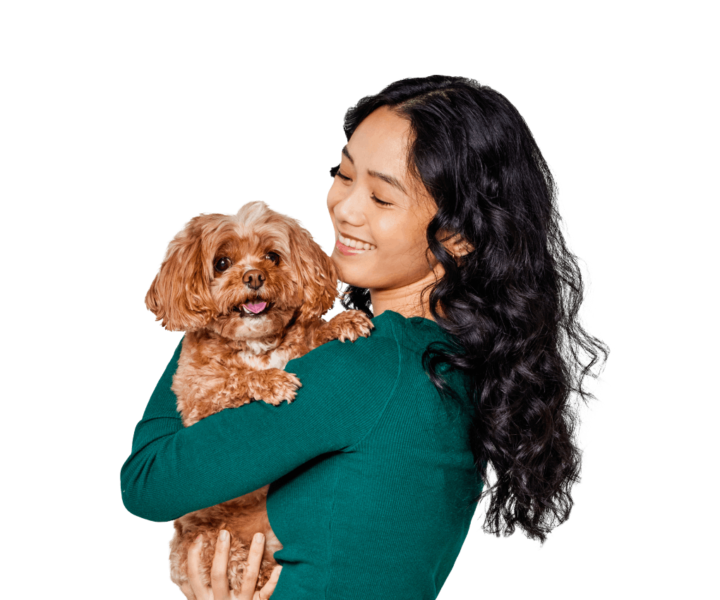 Beautiful dark-haired woman with cute brown and white Poodle-mixed breed dog