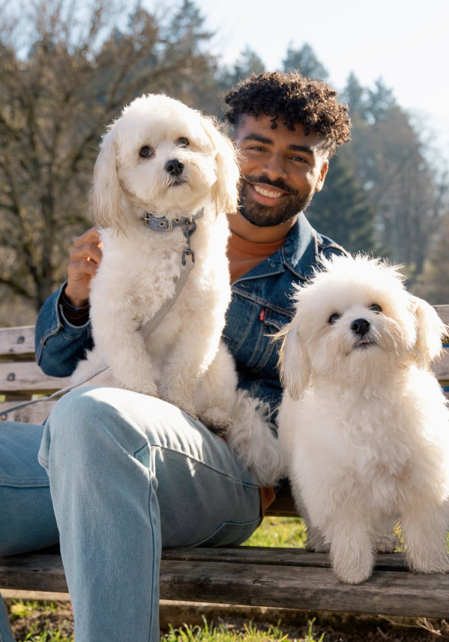 Smiling man sitting with two dogs on a bench