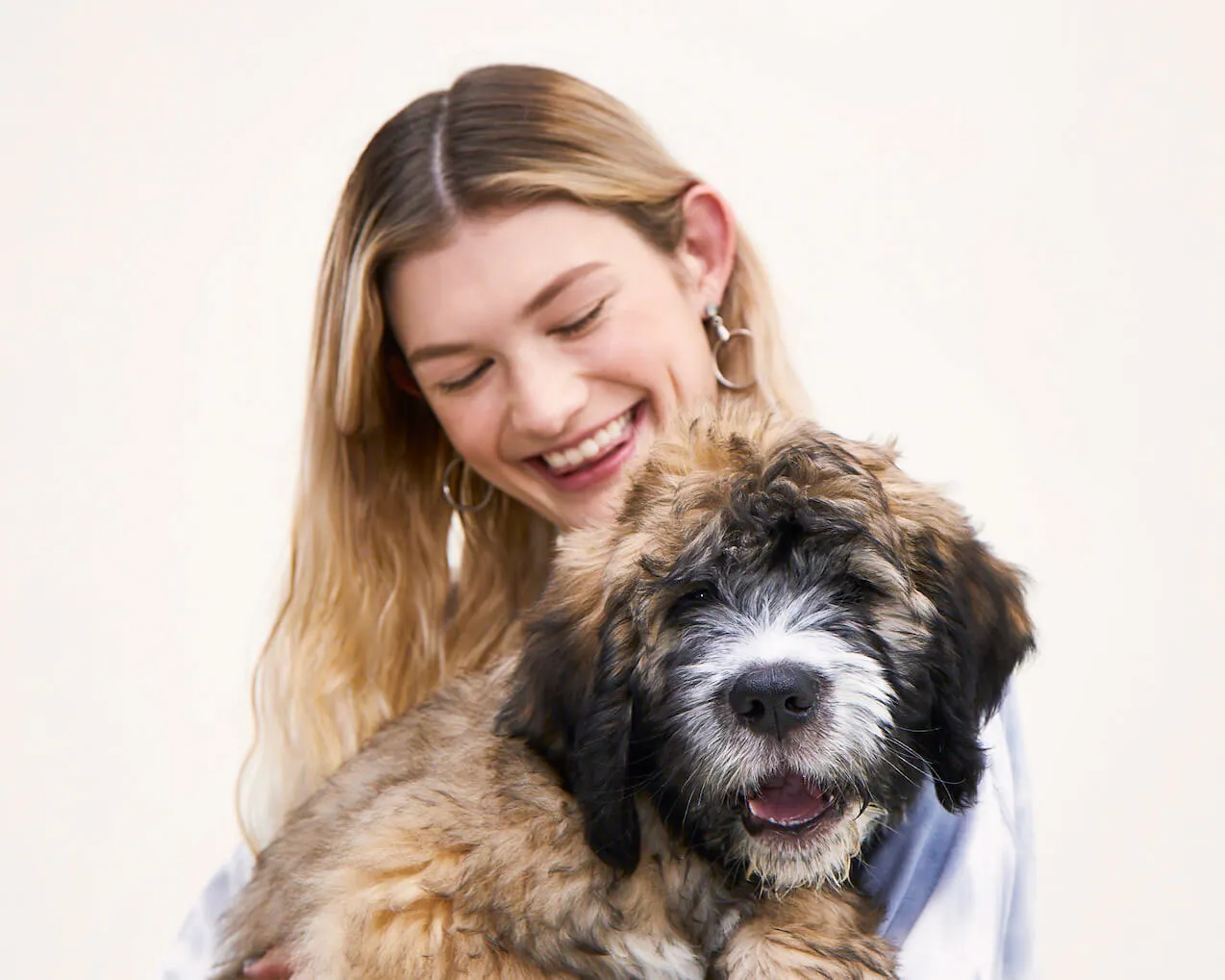 wisdom panel