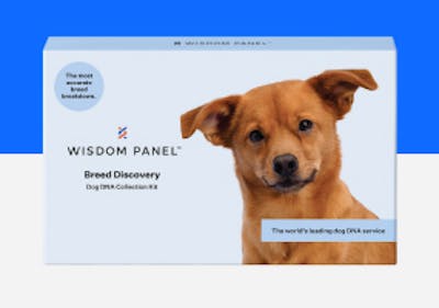 Wisdom Panel Essential test ADN pour Chien