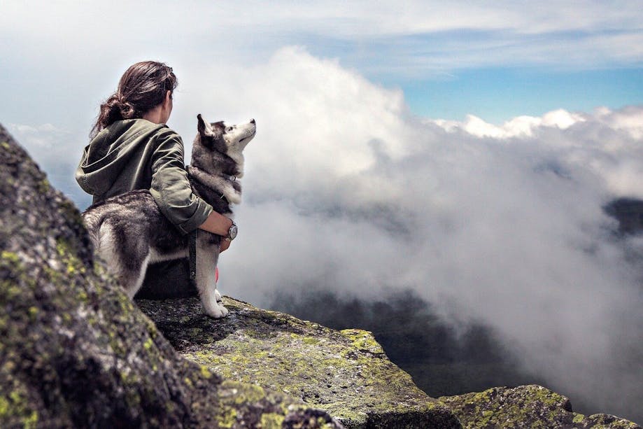 Woman sitting with dog