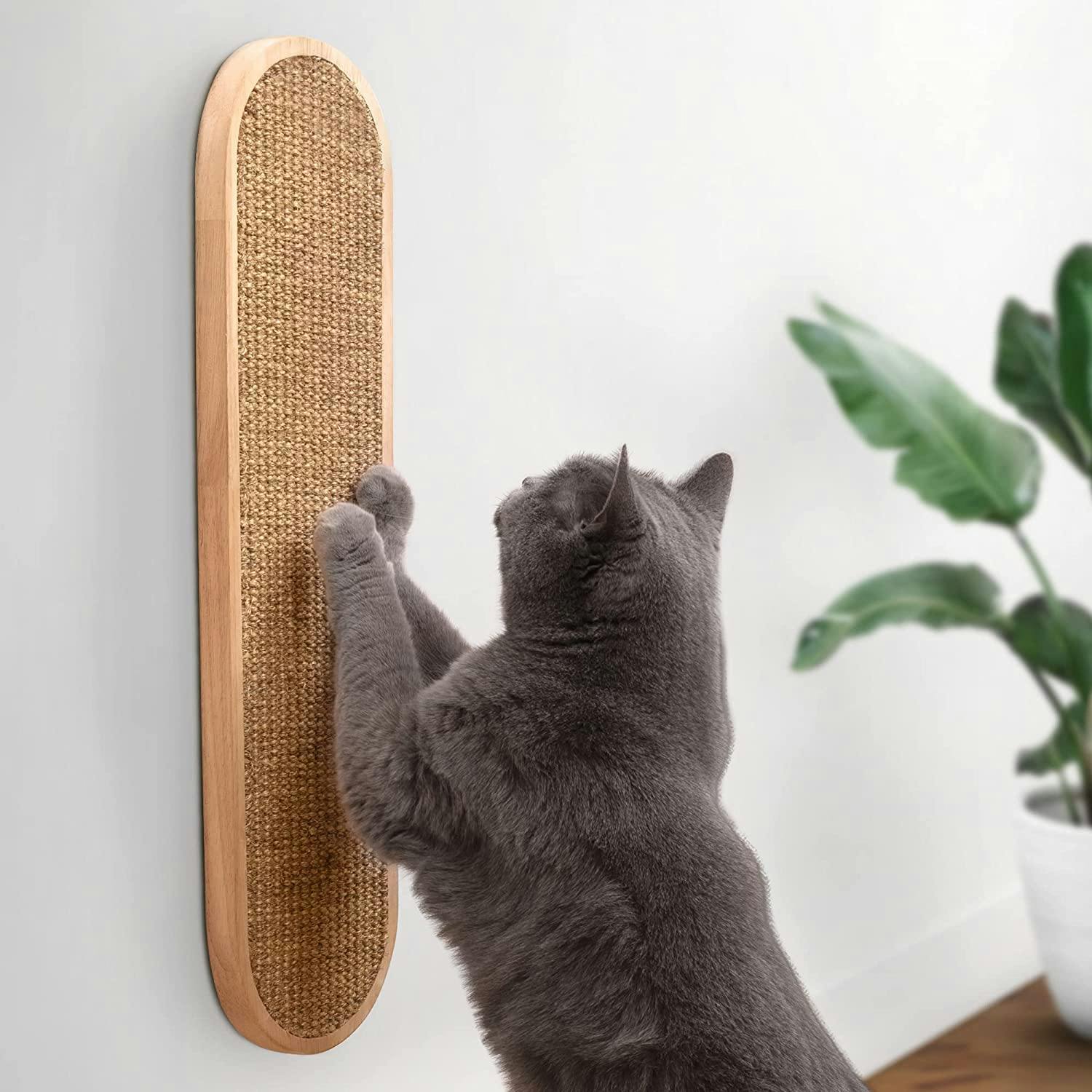 Cat using a scratch pad on the wall