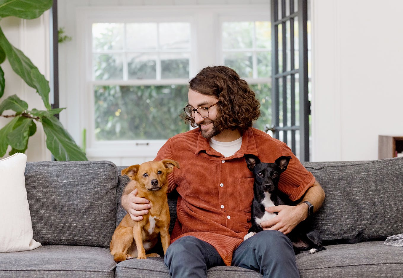 A man cuddling two small dogs