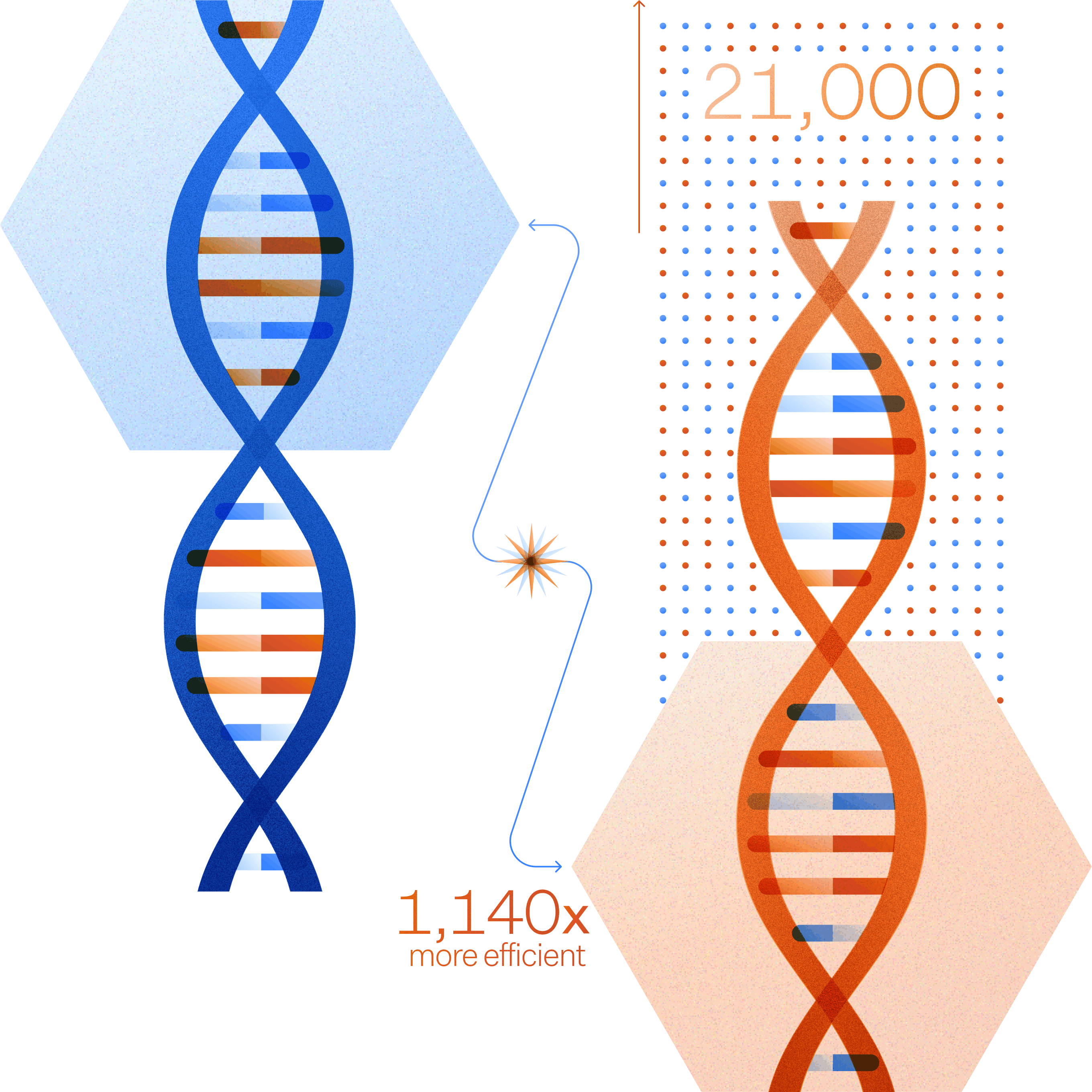 Illustration for large DNA database