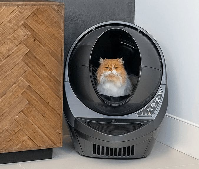 Cat inside a smart litter box
