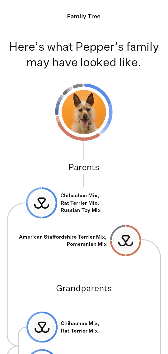 wisdom panel