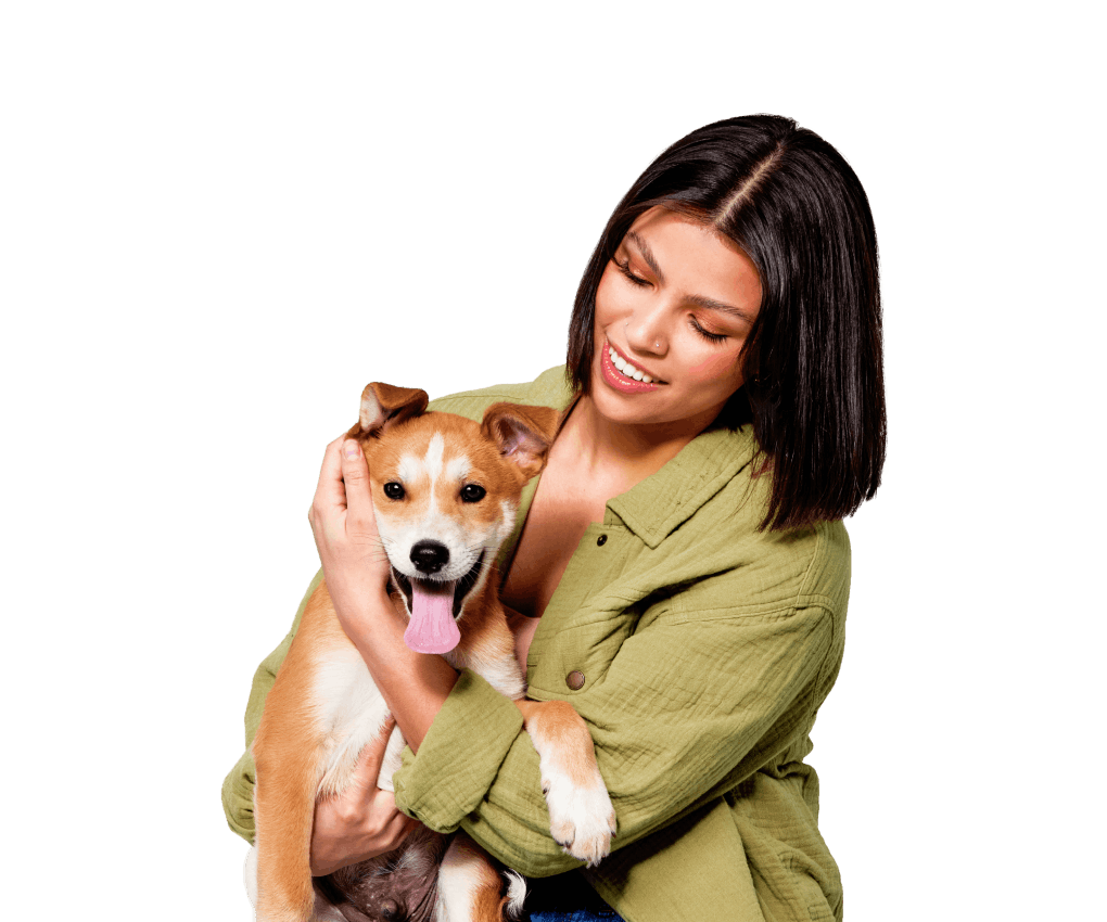 Beautiful young woman holding a happy brown and white mixed breed puppy with tongue out