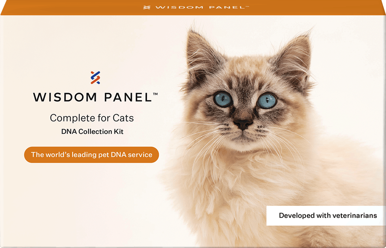 Dna reports wisdom panel best sale