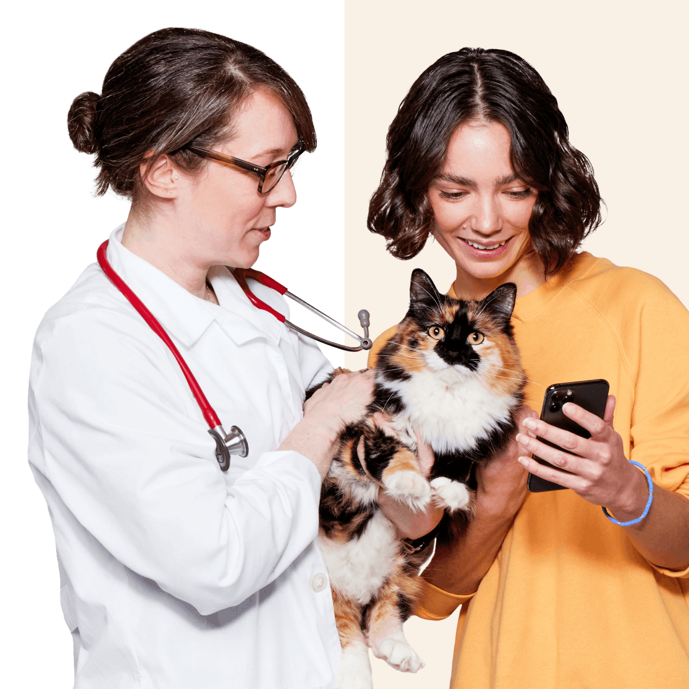 A veterinarian talks with a pet parent and their cat.