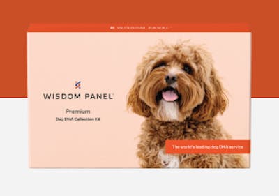 Wisdom Panel Premium dog DNA test