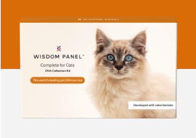 Wisdom Panel™ Complete for Cats DNA test