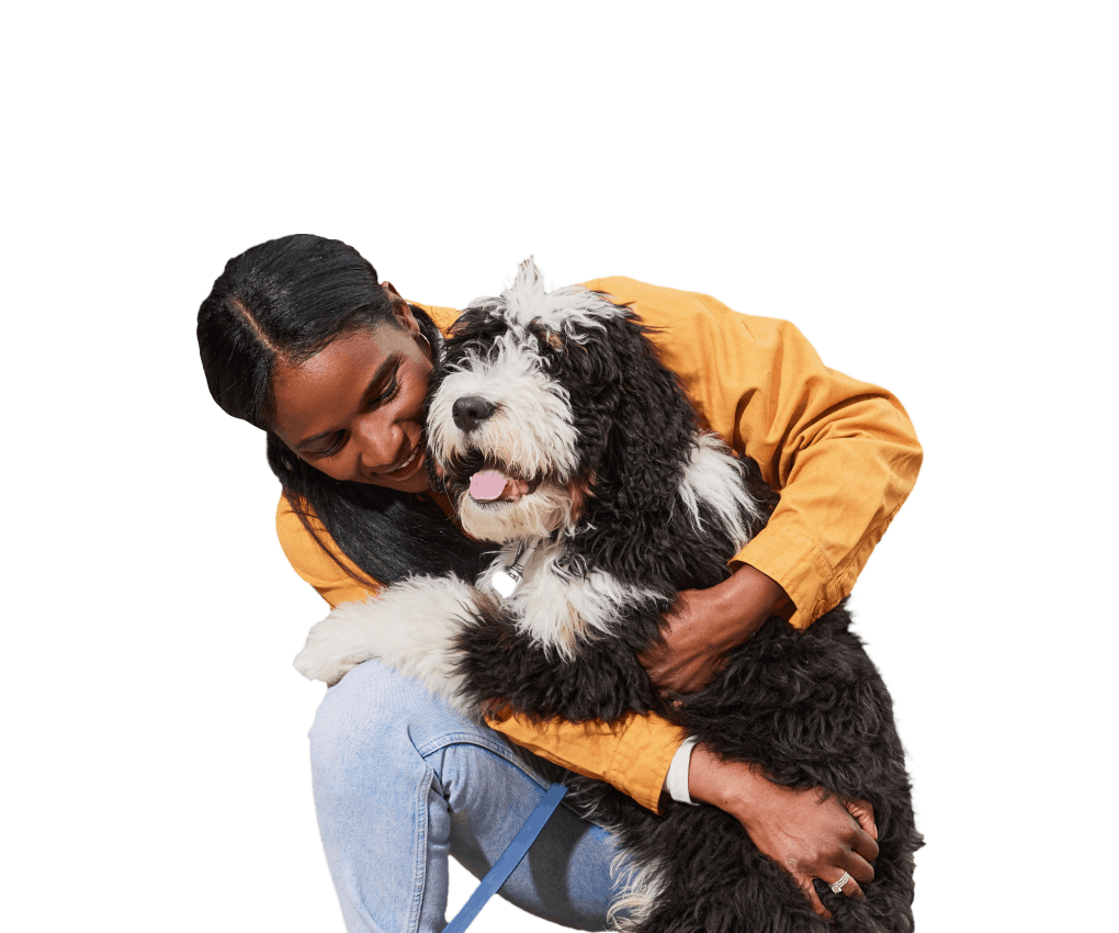 Beautiful young woman hugging playful and fluffy black and white mixed breed dog