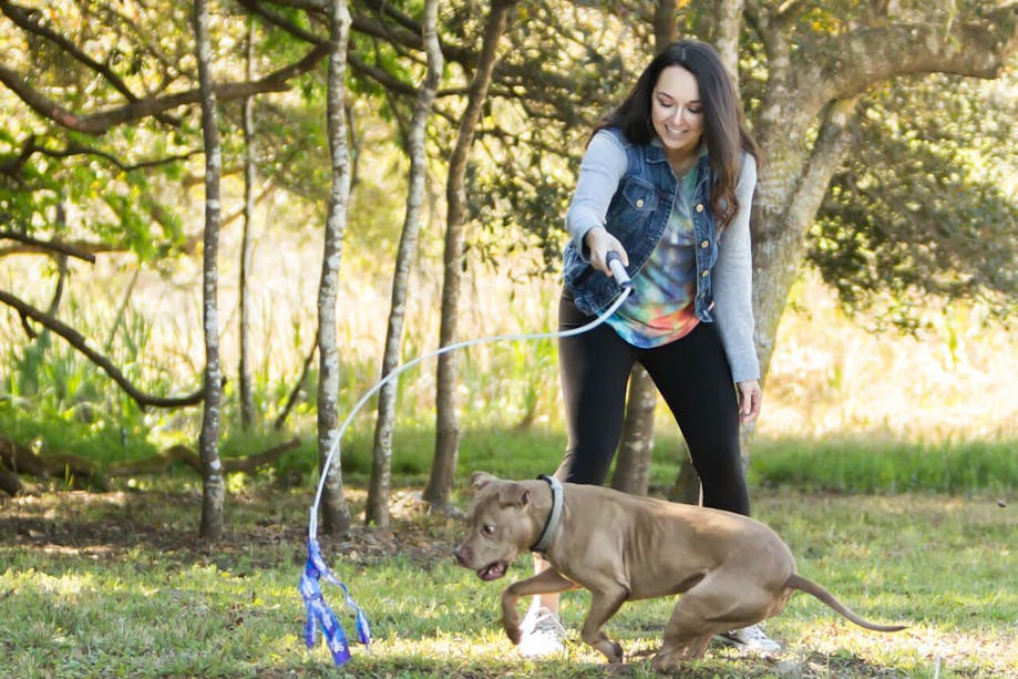 Dog and owner playing with Flirt Pole V2