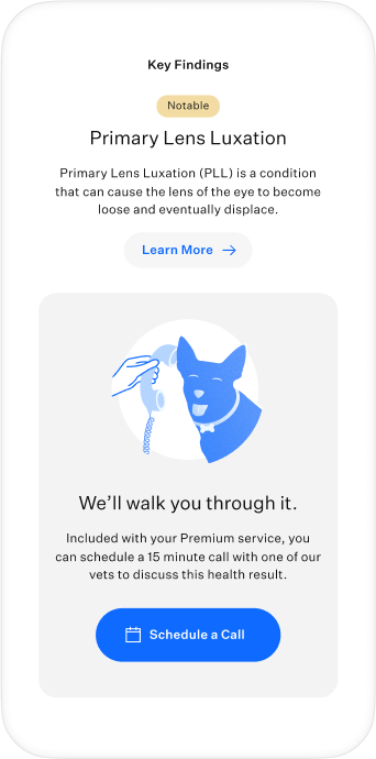 App Mock (17).png