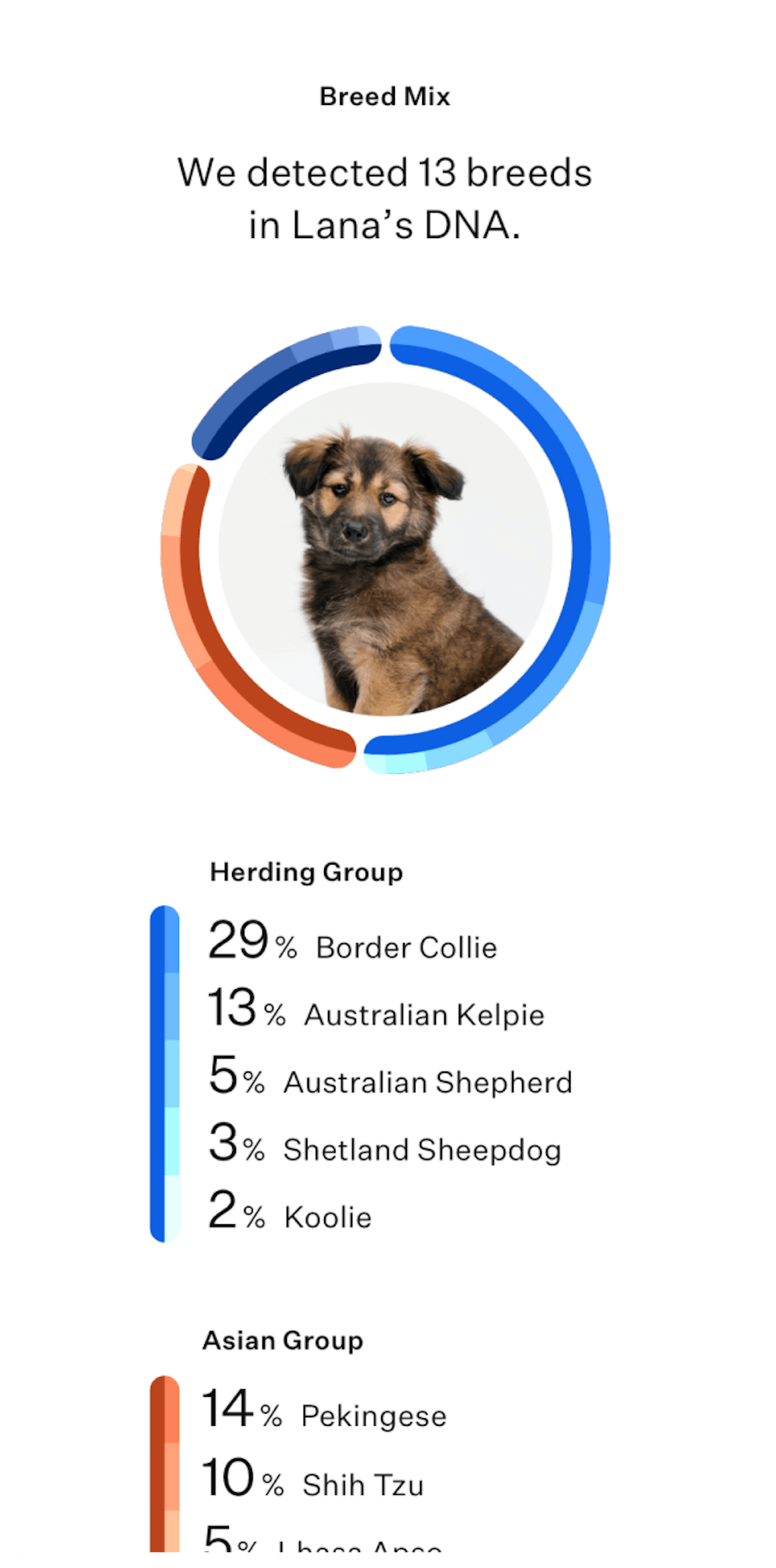 Wisdom Panel™ Premium dog DNA test Most accurate breed detection