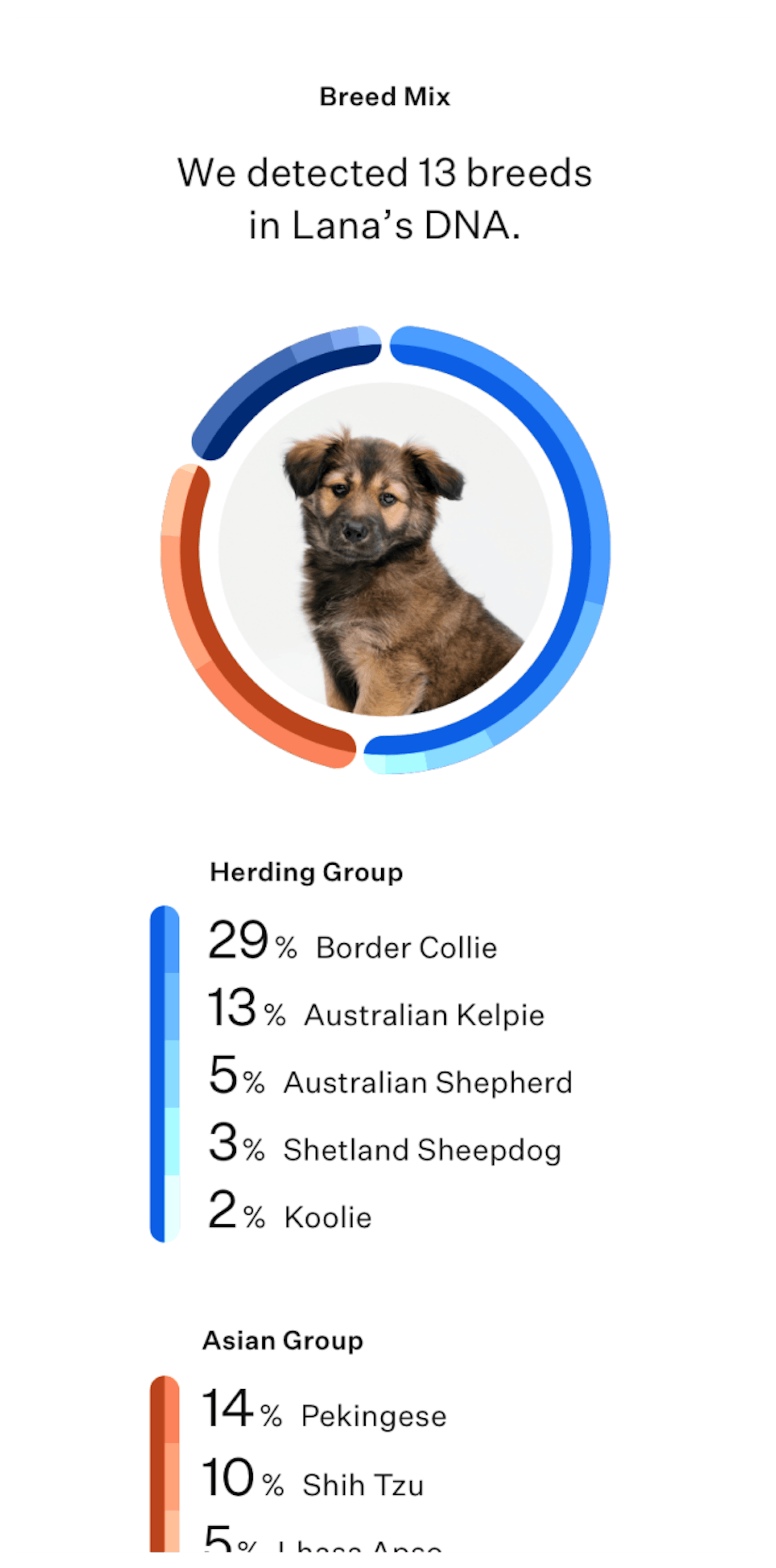 Wisdom Panel™ Premium dog DNA test Most accurate breed detection