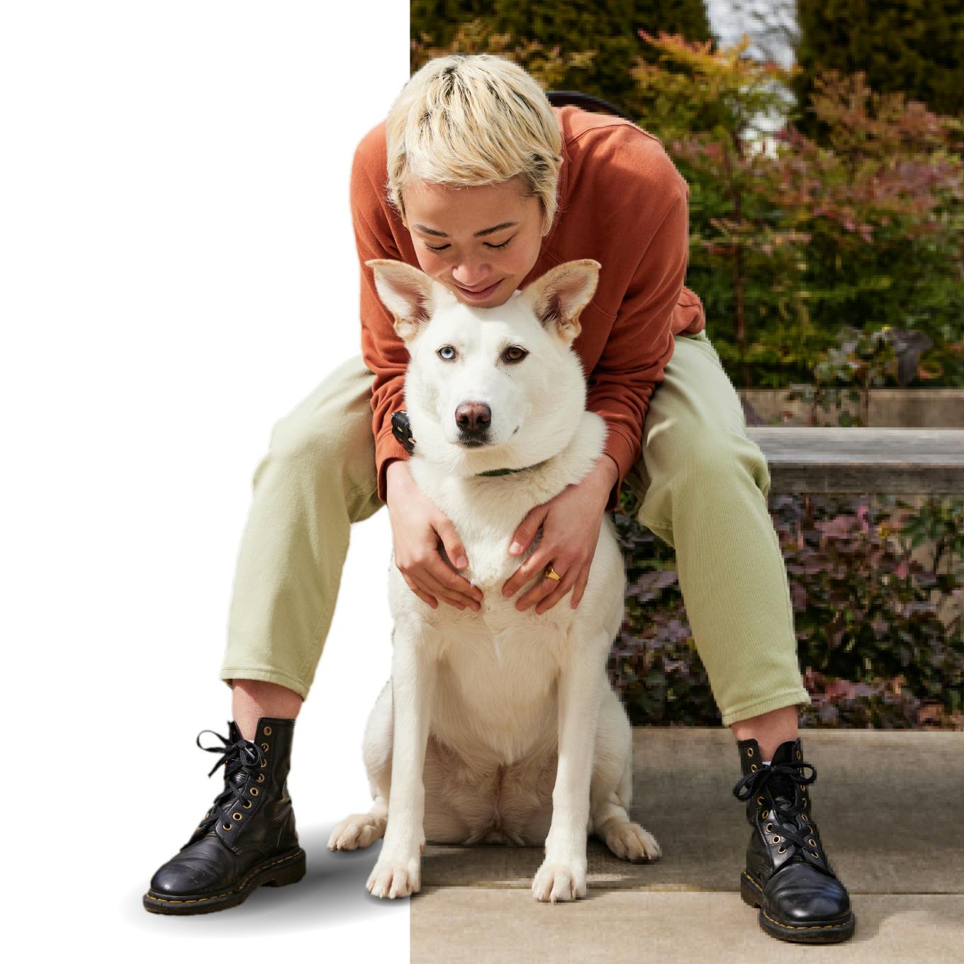 A person hugging a white shepherd dog.