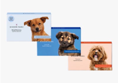 Compare dog DNA kits