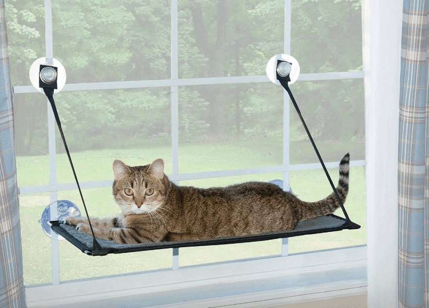 Cat lying on a window perch